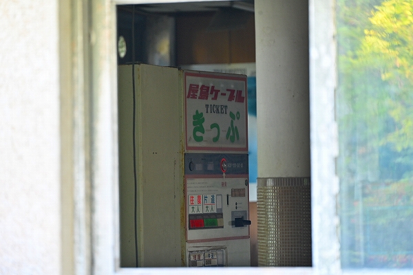 s-DSC_6404