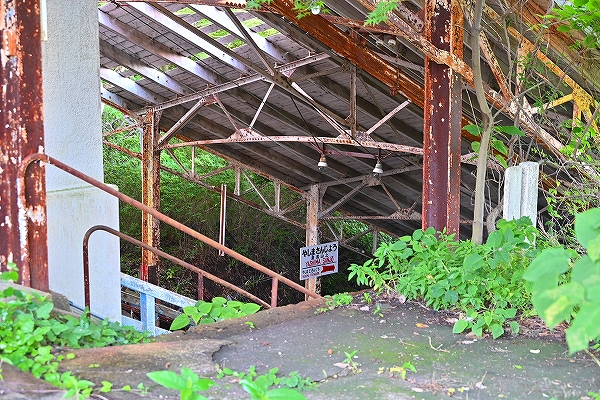 s-DSC_6406