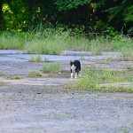 s-DSC_6428