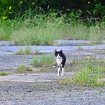 s-DSC_6429