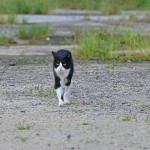 s-DSC_6432
