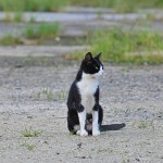 s-DSC_6434
