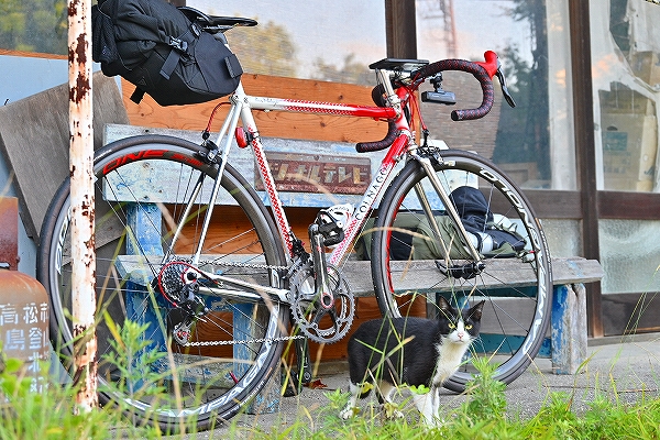 s-DSC_6461