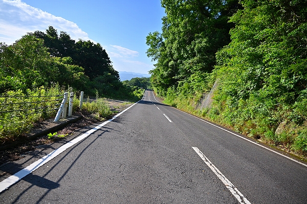 s-DSC_6484