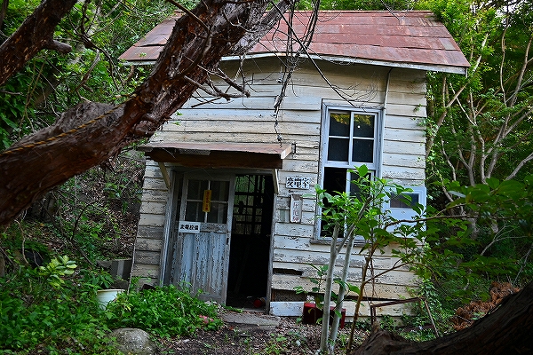 s-DSC_6489