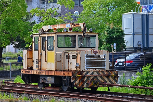 s-DSC_6517