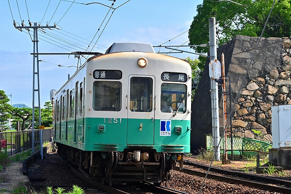 s-DSC_6551