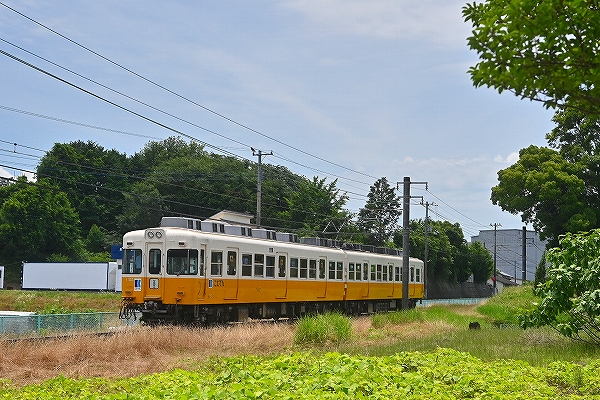 s-DSC_6583