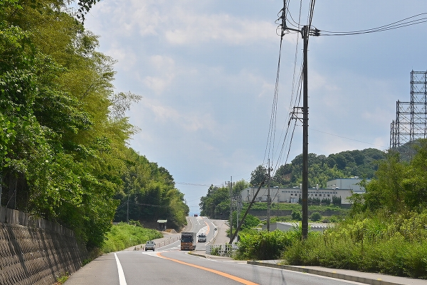s-DSC_6591