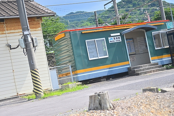 s-DSC_6595