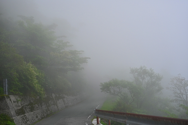 s-DSC_8713