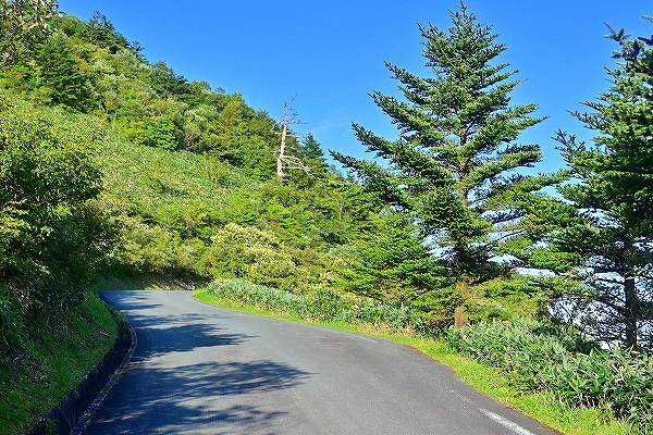 s-DSC_9216