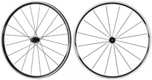 rs21