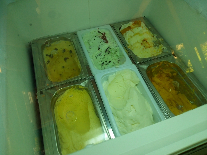 DSC_8373