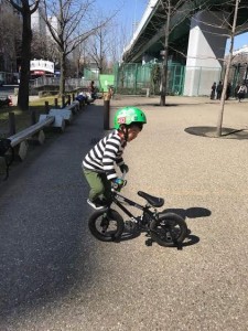 17031103