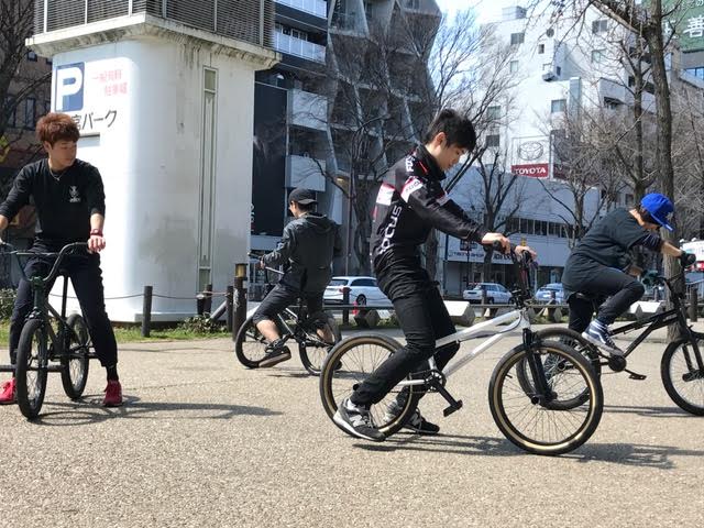 17032704