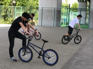 17062303