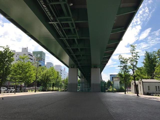 17062504