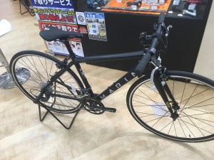 marin2
