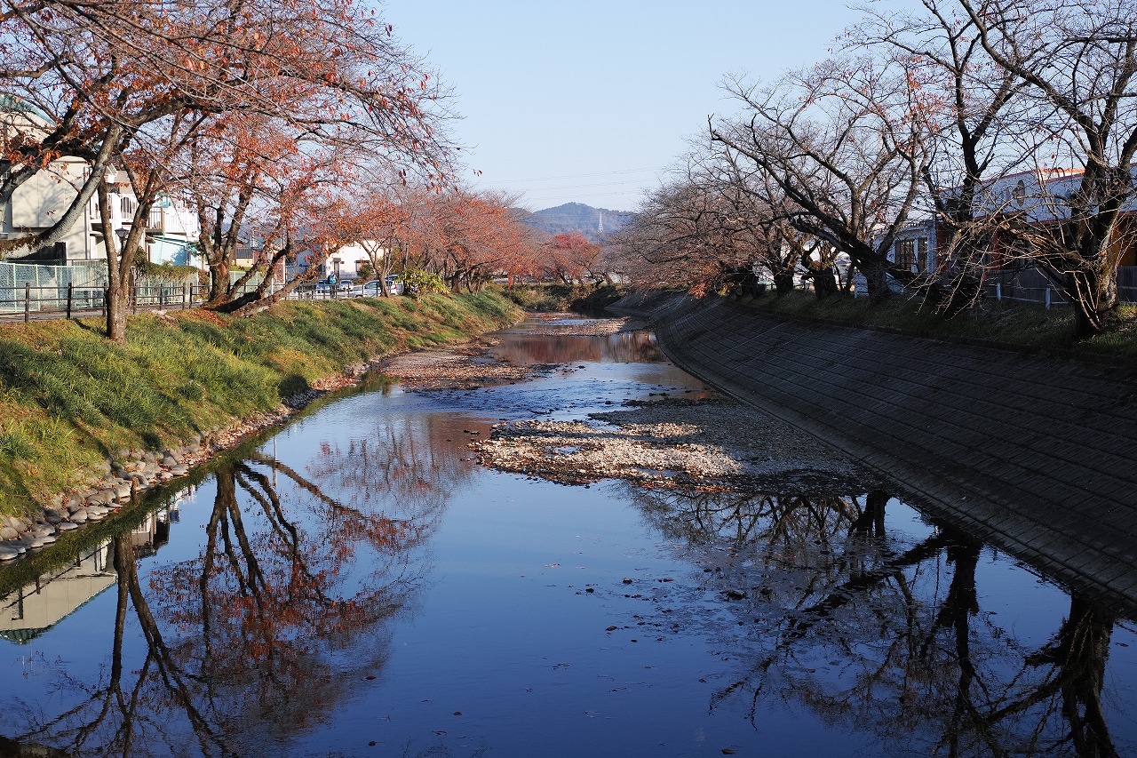 SDIM0406