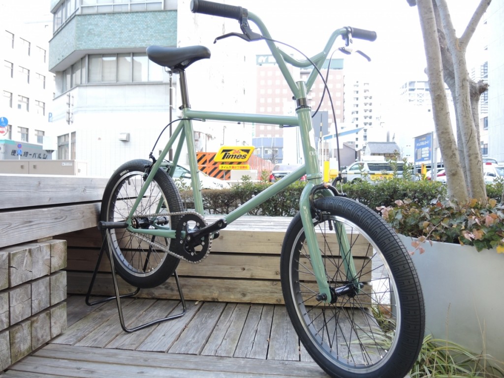 DSCN8677