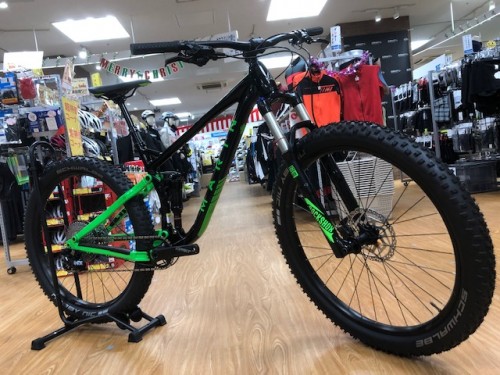 image3 (1)
