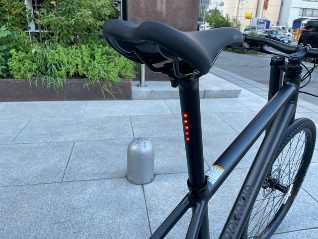 CANNONDALE BAD BOY 2