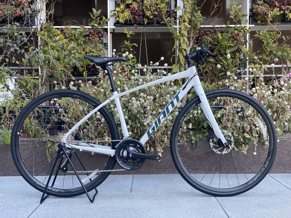 GIANT ESCAPE RX DISC