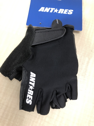 ANTARES グローブ