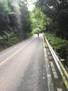 dfvfjviff