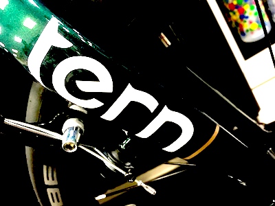 tern17-top