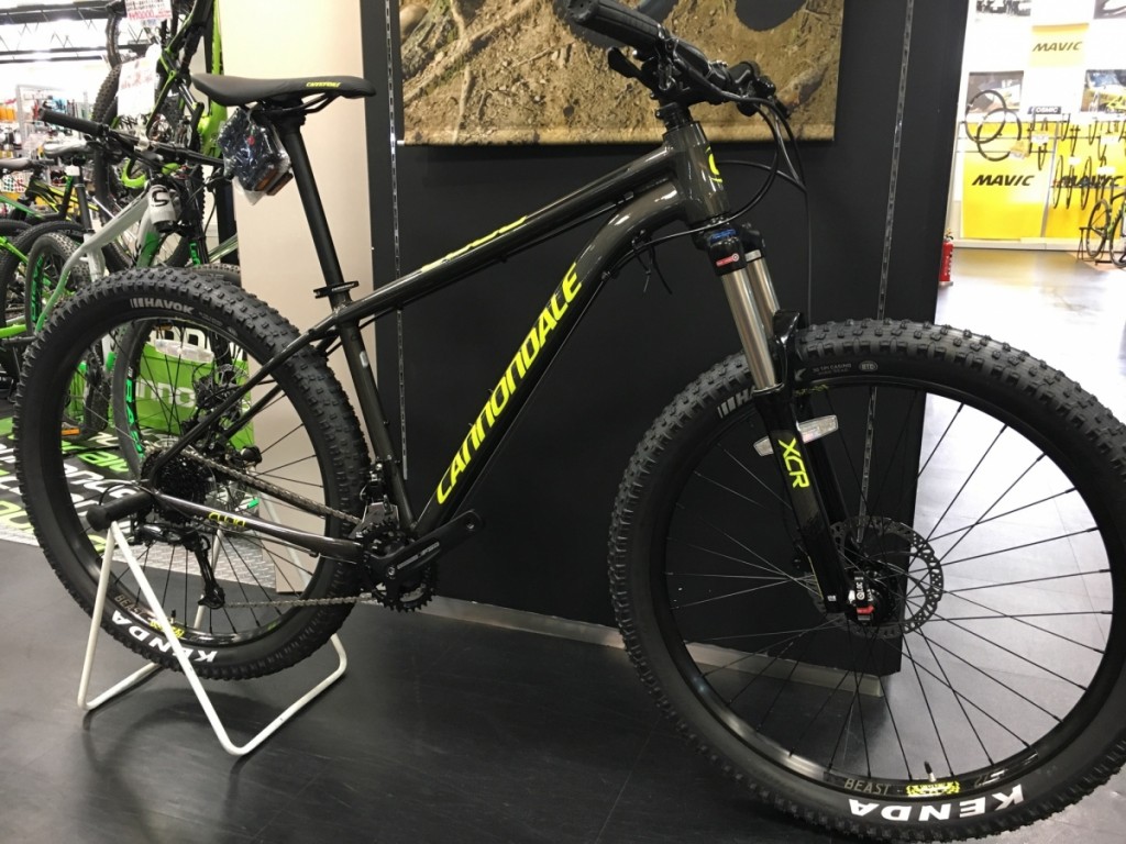 IMG_5515