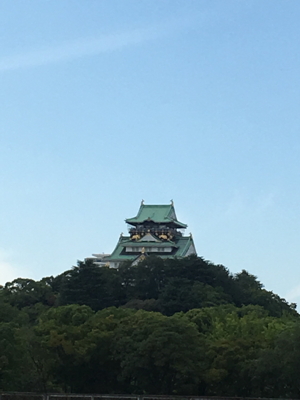xIMG_4782