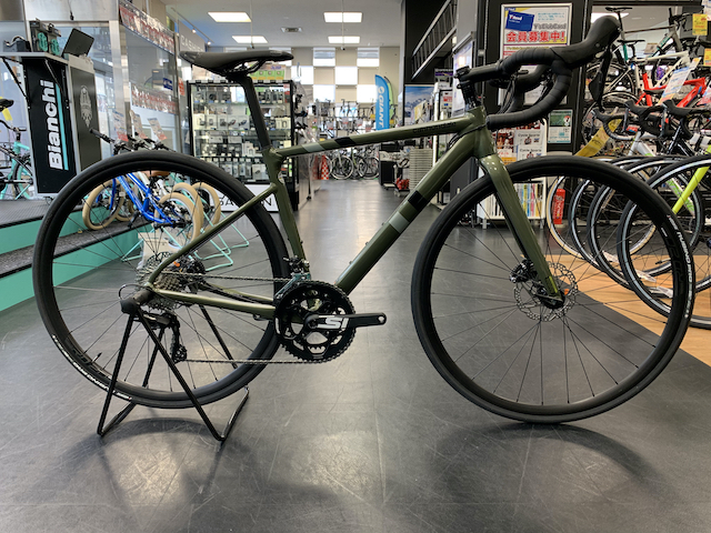 CAAD 13 DISC