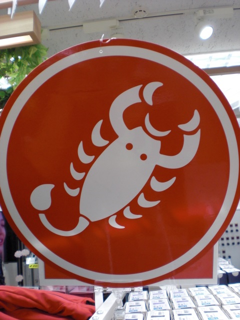 CIMG0581