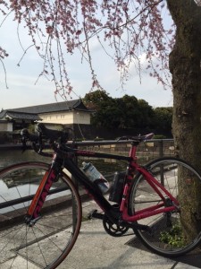 皇居１