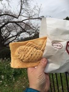 千鳥が淵２