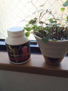 １朝活