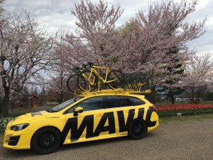 IMG_1300 (1)