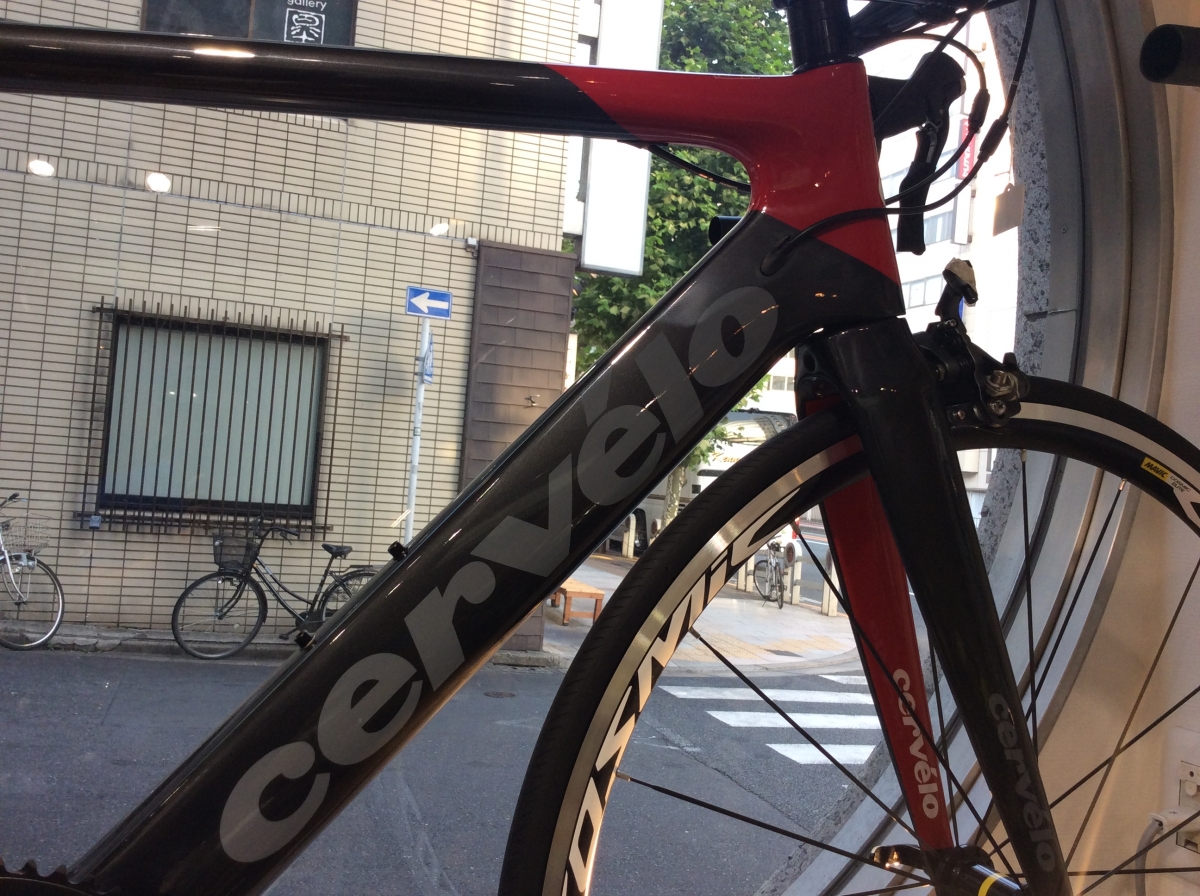 IMG_2320[1]