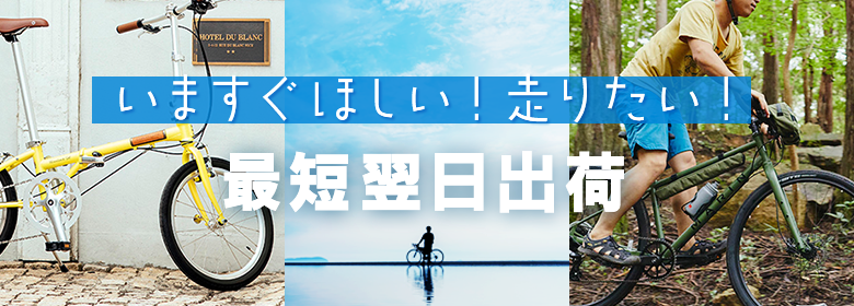 sokbike1