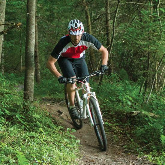 mtb-trail2.1408765218
