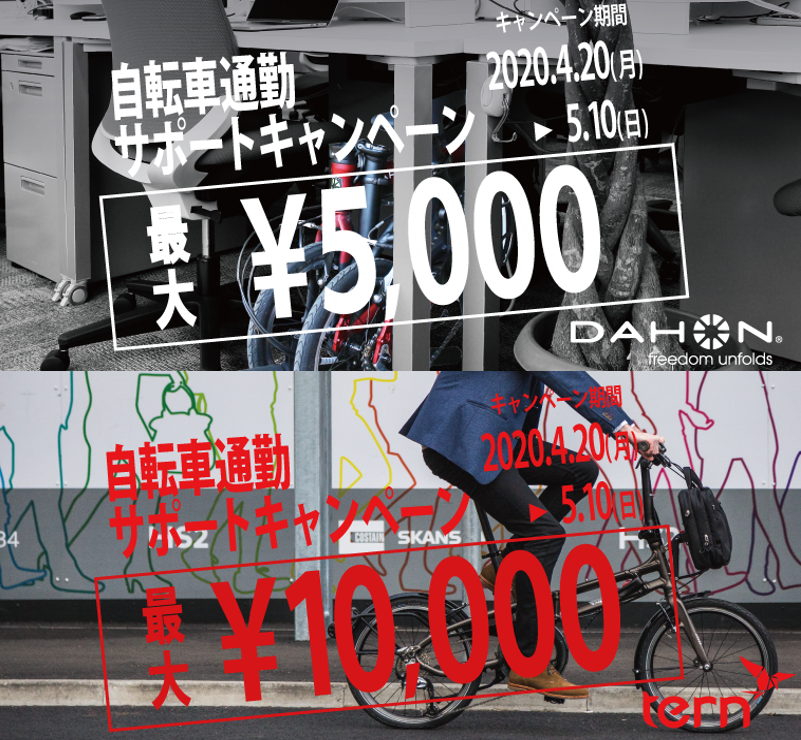 dahon-tern