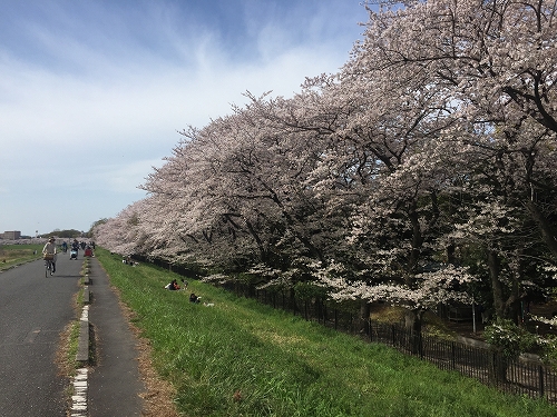 160407a-IMG_1753