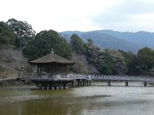 P1010706