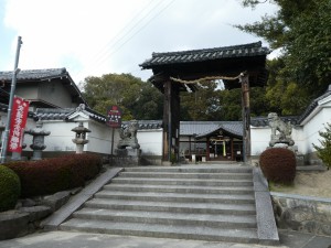 P1010752