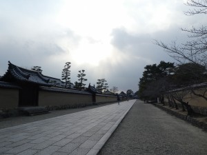 P1010791