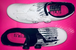 nishi r12020 4