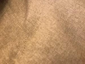 nishi furyu5
