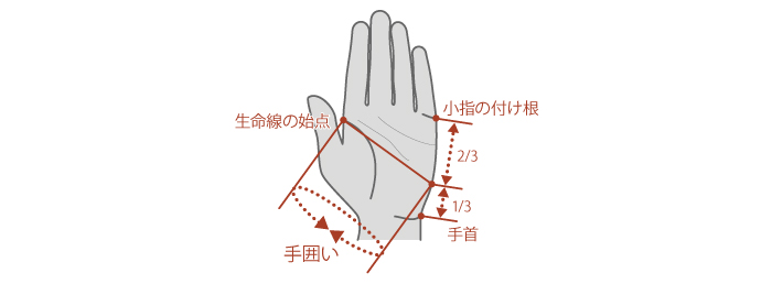 glove_fig